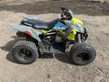 Polaris Outlaw 110 - 4