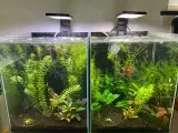 Akvarie - 30l - 2 stk