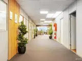 Kontor og lager m. elevator - 2