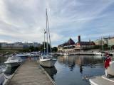 Viksund Gold Fisch 31