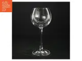 Leonardo hvidvinsglas fra Leonardo (str. H 20 cm ø. 10 cm) - 3