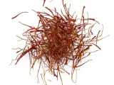 Safrankrokus – “Crocus Sativus” løg - 3