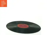 Paul Young - The Secret of Association LP fra Columbia (str. 31 x 31 cm) - 2
