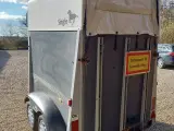 Humbaur Singletrailer sælges - 2