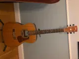 Cort guitar (UDLEJES) - 2