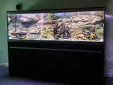 Akvarier til salg - 4