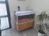 250 liters akvarium på bord med stor ekstern pumpe