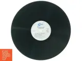 Gloria Estefan Vinyl LP fra Epic (str. 31 x 31 cm) - 3