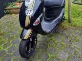 Pgo ligero 