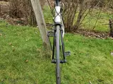 Koga Sportslady - hverdagsbrug, træning, touring - 4