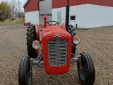 massey ferguson 35, 3 cyl Diesel - 2