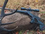 Blaser riffel, k95 Ultimate kal 270win - 2