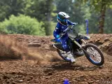 Yamaha YZ 250 LC Monster Energy Yamaha Racing Edition - 2