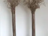 2 Høje glasvaser m/tørret grene