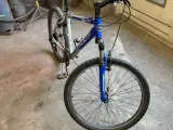 trek mtb