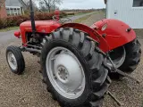 Massey Ferguson 35 . 3 cyl diesel - 4