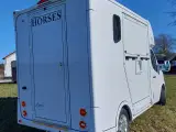 Corso 2-Hestes Renault Master Hvid - 3