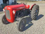 Massey Ferguson  35   Traktor Benzin - 3