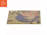 Walk the Dinosaur (DVD) - 2