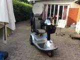 El scooter
