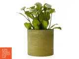 Kunstig plante med potte fra IKEA (str. 12 cm) - 2