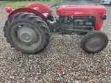 Massey ferguson 35 benzin - 2