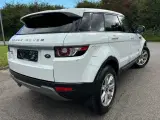 Land Rover Range Rover Evoque 2,2 TD4 Dynamic aut. Van - 3