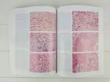 Curran’s Atlas of Histopathology – 4. udgave   - 5