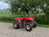 Honda 250cc ATV - 4