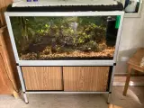 Akvarie på bord og tilbehør. 