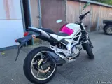 Suzuki SFV 650 Gladius - 2