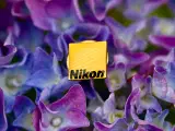 Nikon Logo Jakkenål