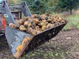 Roer (Foderroer) 