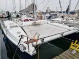 Katamaran Edel Cat 35
