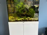 AKVARIUM - 2