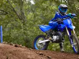 Yamaha YZ 85 LW - 4