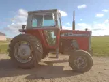 MF 590 traktor - 4