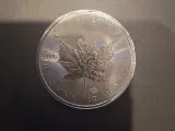 Canada 5 Dollar Maple Leave 1 oz