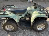 Stor stærk ATV 500cc - 3