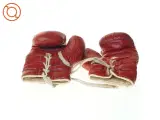 Ældre Læder Boksehandsker (str. 23 x 17 cm) - 3