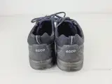 ⭐️- ECCO - Women's Terracruise GTX - Sneaker - 5