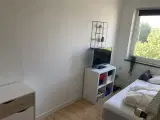 Room near Alsion, Sønderborg, Sønderjylland