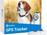 Tractive GPS til hund