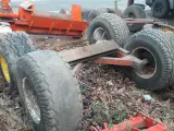 Tim buggy
