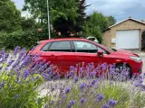 Citroën C4 1,6 BlueHDi 120 Iconic EAT6 - 4