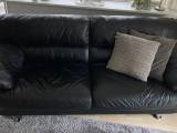 Sofaer