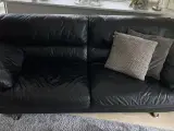 Sofaer