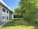 Kontorlokaler i kreativt miljø - 3