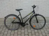 Busetto  Stel str. 52 cm.