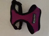 Hundesele (kat/kanin)